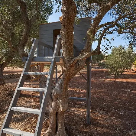 Casale Con Cipresso