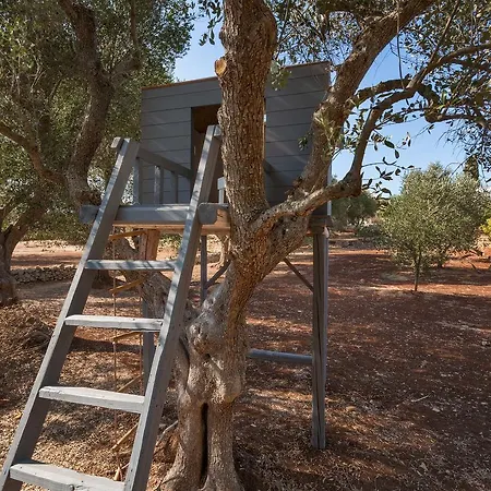 Casale Con Cipresso